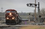 CP 8739